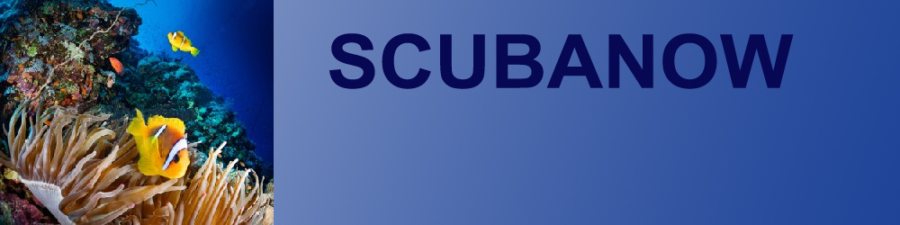 ScubaNow Banner